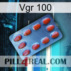 Vgr 100 06